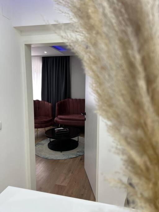 Traum Wohnung Mit Kingsize-Bett グラーツ エクステリア 写真