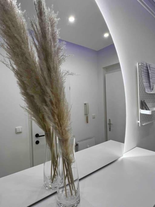 Traum Wohnung Mit Kingsize-Bett グラーツ エクステリア 写真